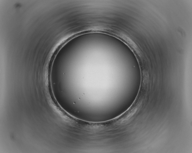 X0000110870939200906181159