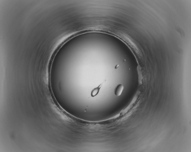 X0000110870940200906181159