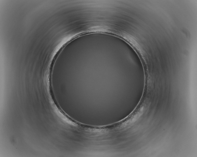 X0000110870941200906181159