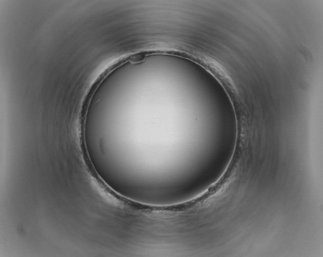 X0000110870942200906181159