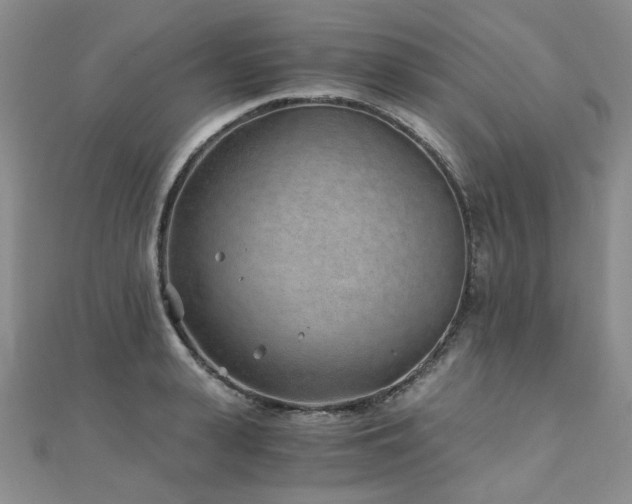 X0000110870943200906181159