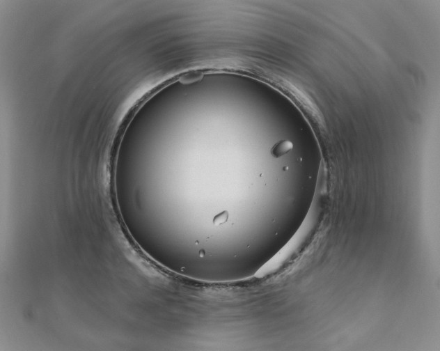 X0000110870944200906181159