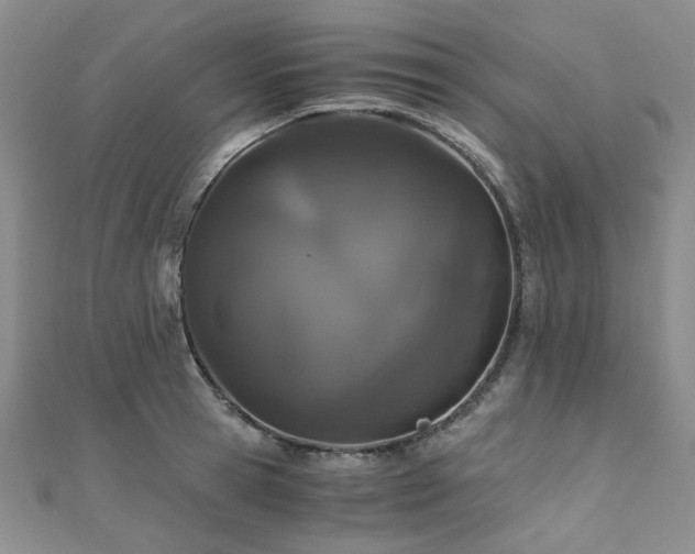 X0000110870945200906181159