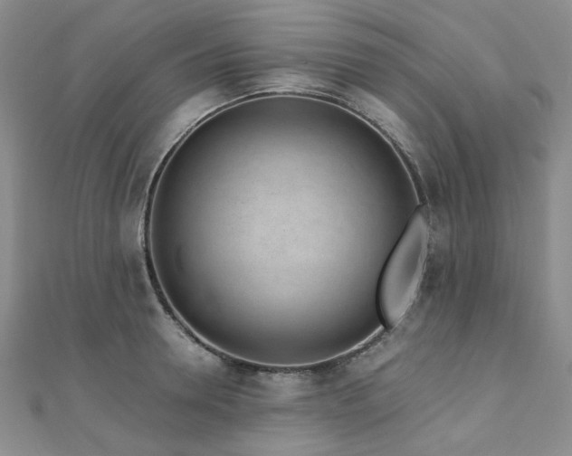 X0000110870946200906181159