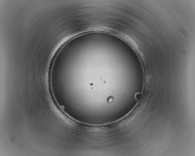 X0000110870947200906181159