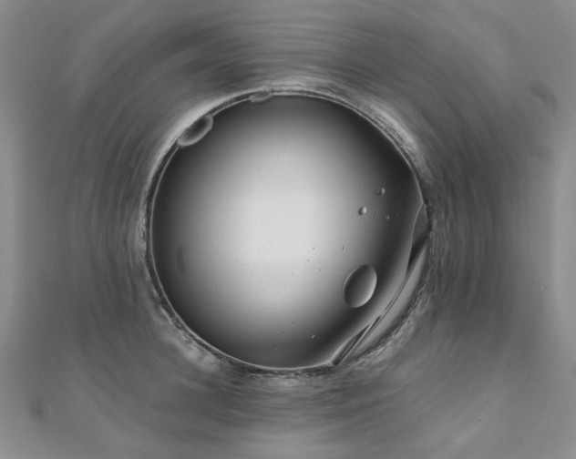 X0000110870948200906181159