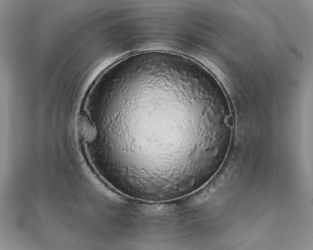 X0000110870949200906181159