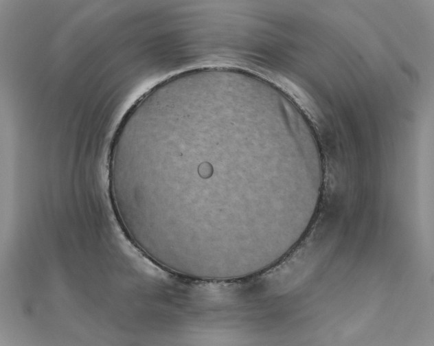 X0000110870950200906181159