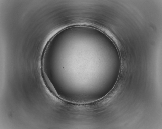 X0000110870951200906181159