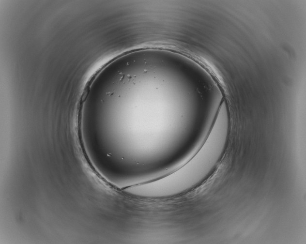 X0000110870952200906181159