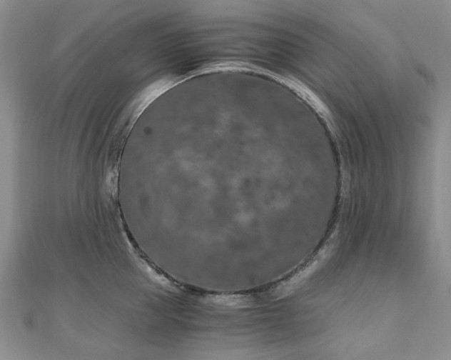 X0000110870953200906181159