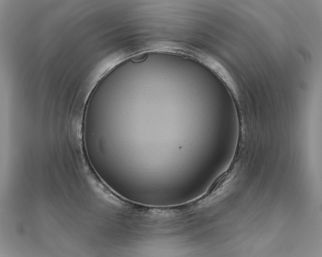 X0000110870954200906181159