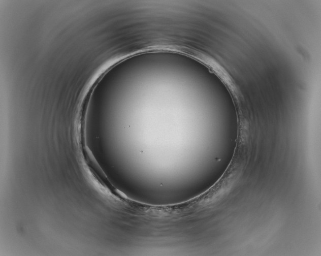 X0000110870955200906181159