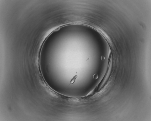 X0000110870956200906181159