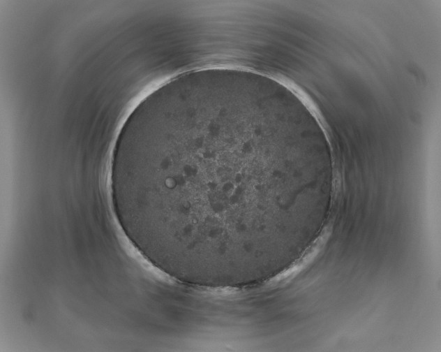 X0000110870957200906181159