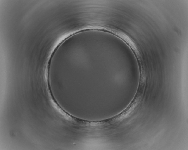 X0000110870958200906181159