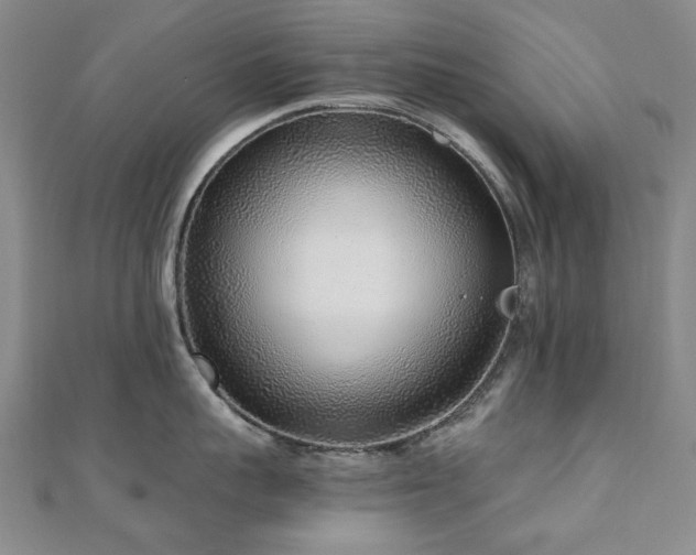 X0000110870959200906181159