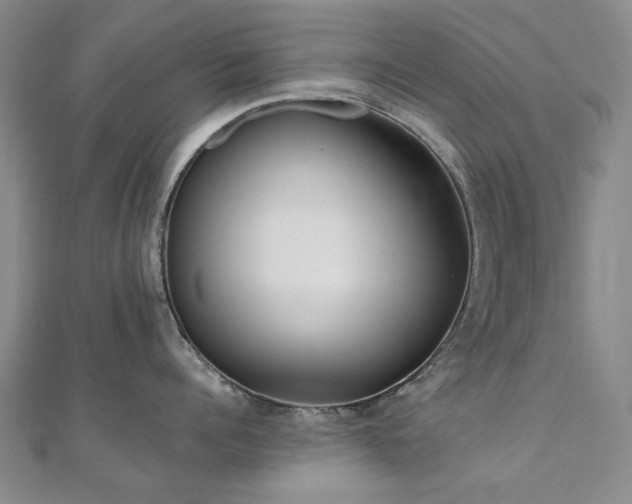 X0000110870960200906181159