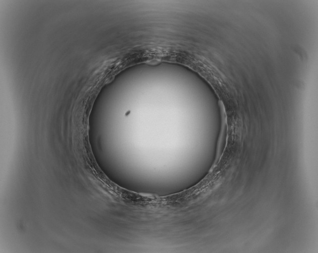 X0000110870961200906181159