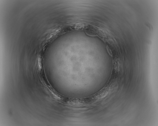 X0000110870962200906181159