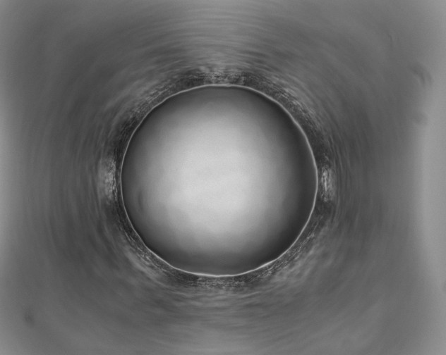 X0000110870963200906181159