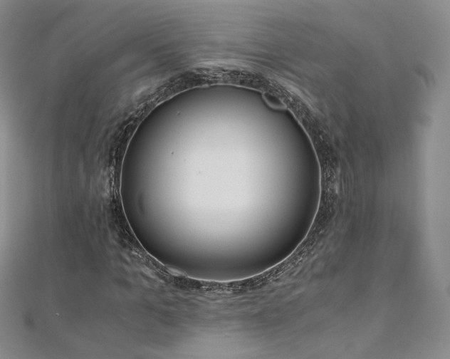 X0000110870965200906181159