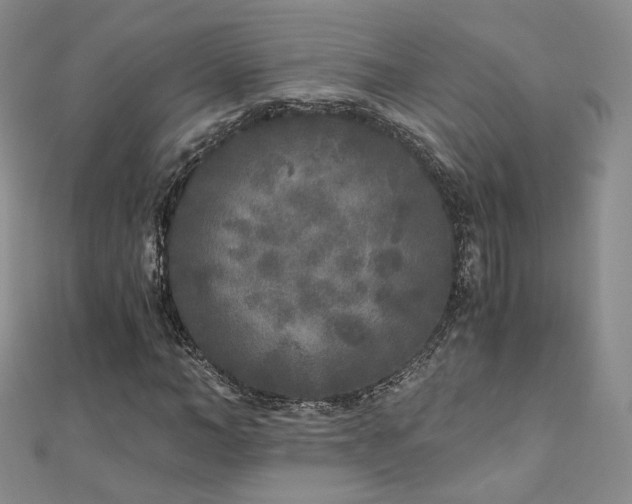 X0000110870966200906181159