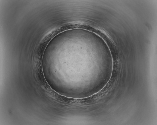 X0000110870967200906181159