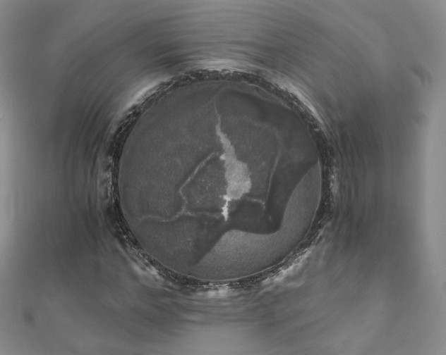 X0000110870968200906181159