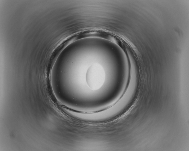 X0000110870969200906181159