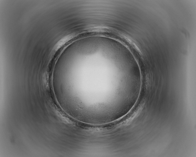 X0000110870970200906181159