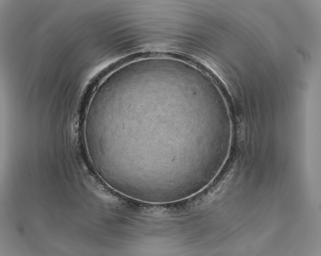 X0000110870971200906181159