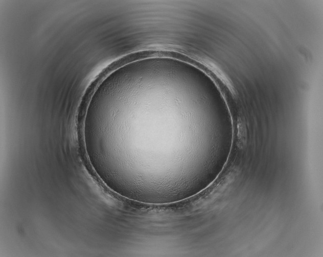 X0000110870972200906181159