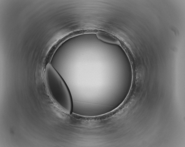 X0000110870973200906181159