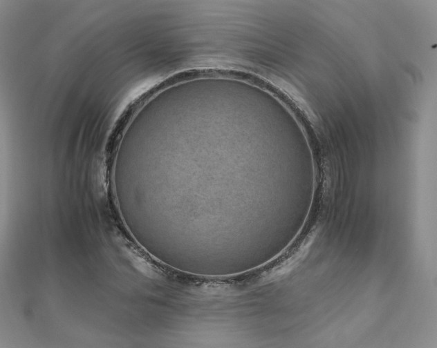 X0000110870974200906181159