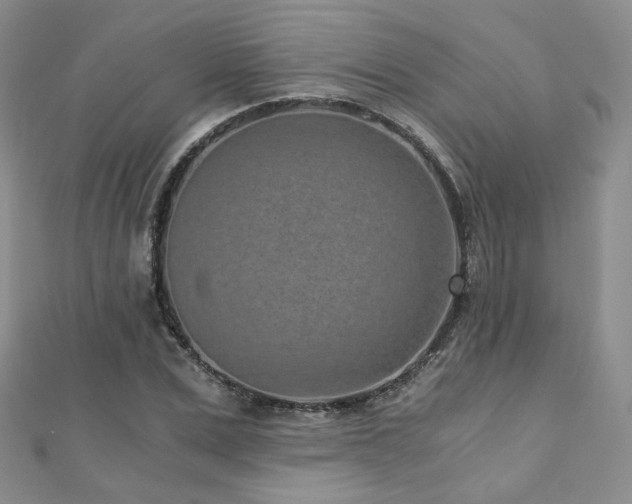 X0000110870975200906181159