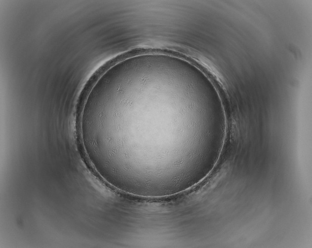 X0000110870976200906181159