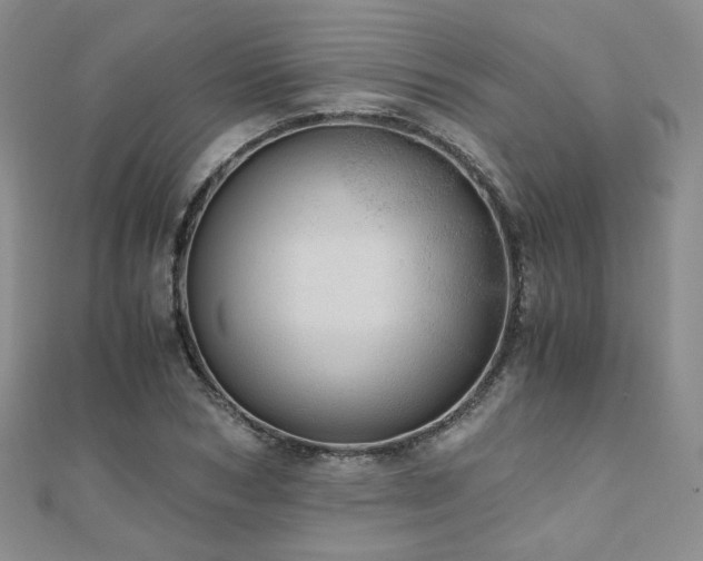 X0000110870978200906181158