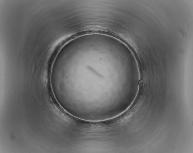 X0000110870979200906181158