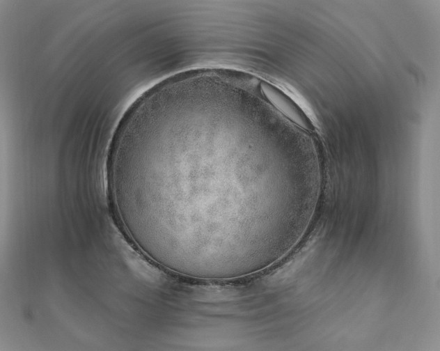 X0000110870980200906181158