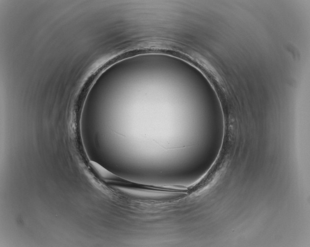 X0000110870981200906181158