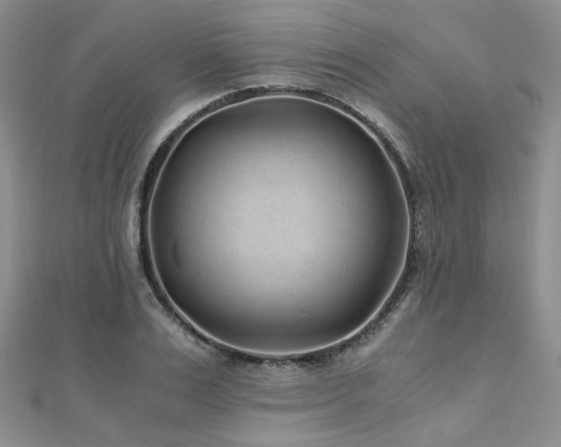 X0000110870983200906181158