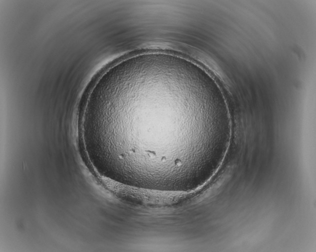 X0000110870984200906181158