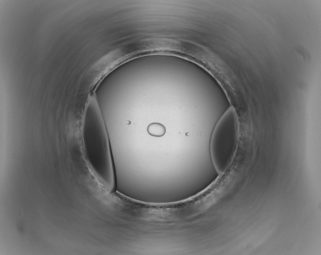 X0000110870985200906181158