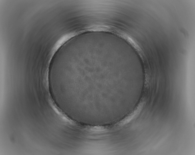 X0000110870986200906181158