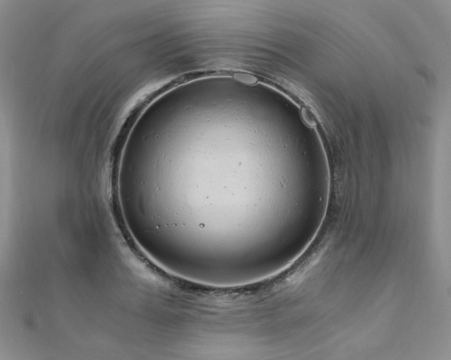 X0000110870987200906181158