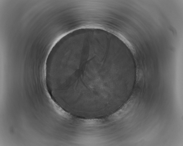 X0000110870988200906181158