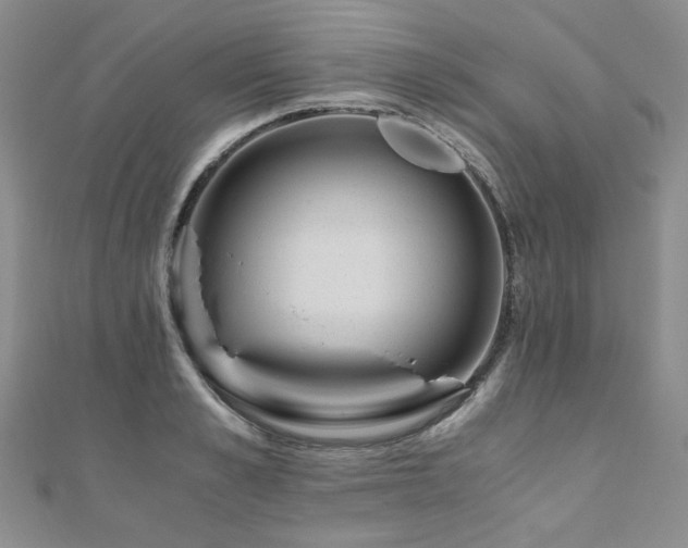 X0000110870989200906181158