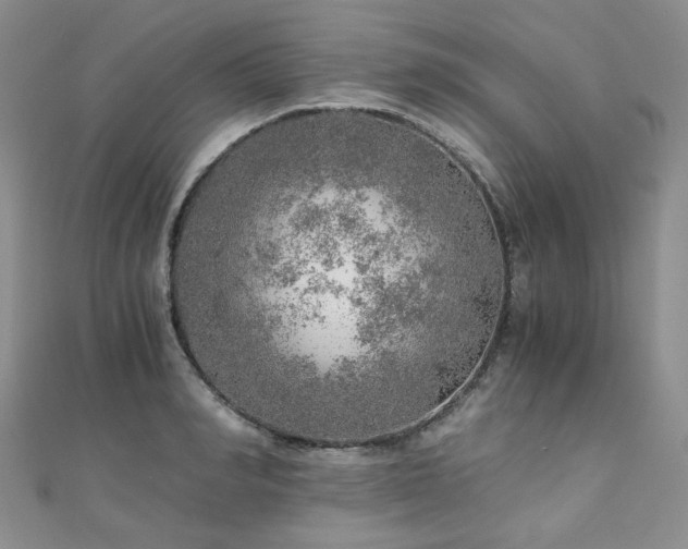 X0000110870990200906181158