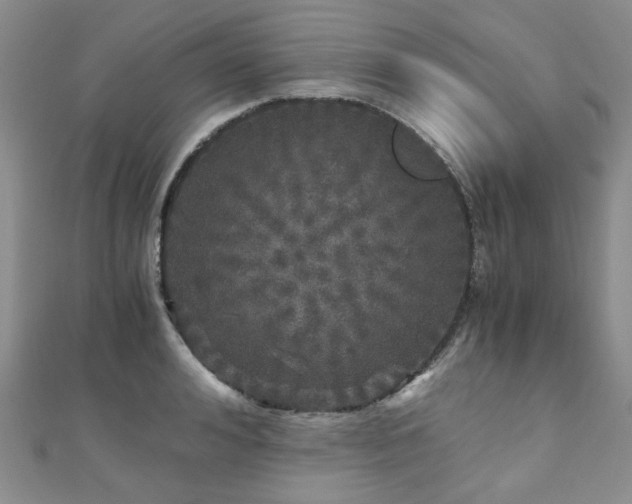 X0000110870992200906181158